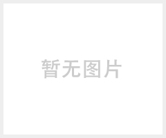 威尔VOLER制造 空气质量分析仪